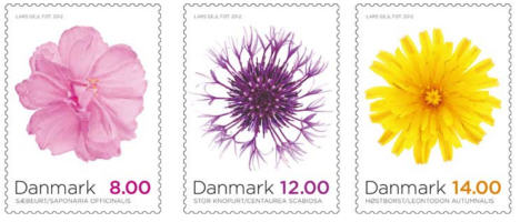 Danmark Höstblommor