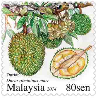 Malaysia frimärken 20140717 Durio zibethinus Murr.