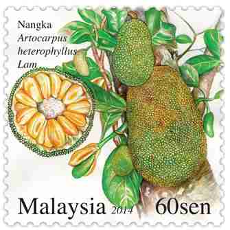 Malaysia frimärken 20140717 Artocarpus heterophyllus