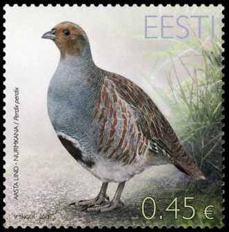 Estland frimärken 20130307 Årets fågel Rapphöna