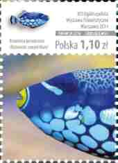 Polen 20141010 Exotiska fiskar