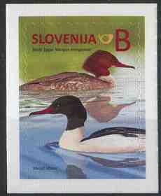 Slovenien fågel Storskrake