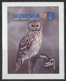 Slovenien fågel Slaguggla