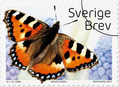 Nässelfjäril (Aglais urticae) 