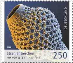 Strahlentierchen