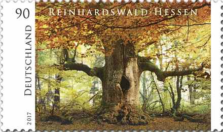 Reinhardswald