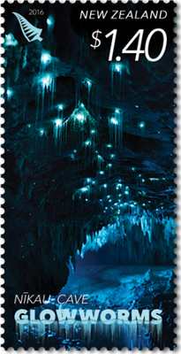  Nikau Cave
