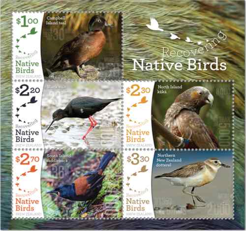 Recovering Native Birds - Souvenirblock